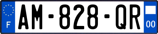 AM-828-QR