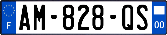 AM-828-QS