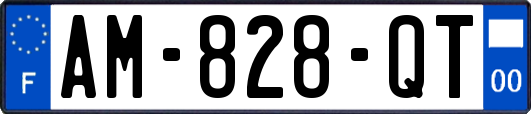 AM-828-QT