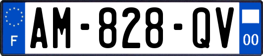 AM-828-QV