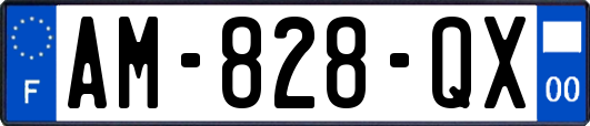 AM-828-QX