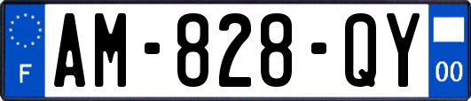 AM-828-QY