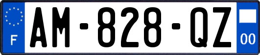 AM-828-QZ