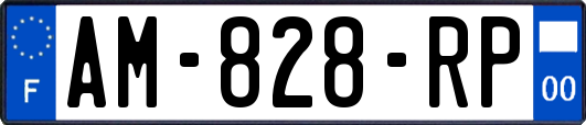 AM-828-RP