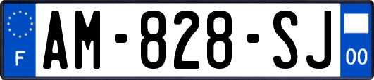 AM-828-SJ
