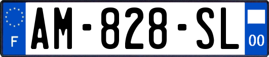 AM-828-SL