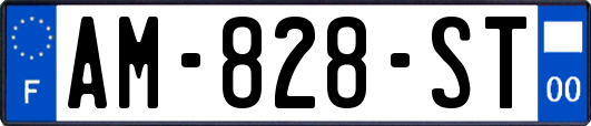 AM-828-ST
