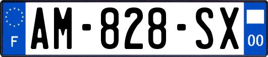AM-828-SX