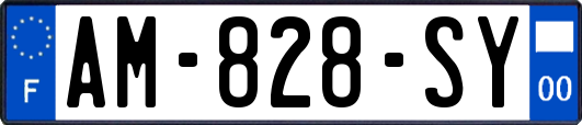 AM-828-SY