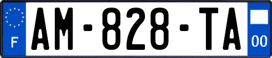 AM-828-TA