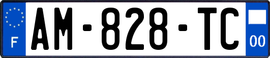AM-828-TC