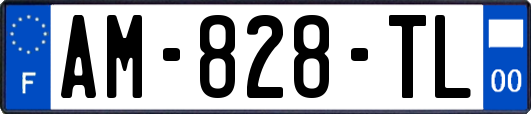 AM-828-TL