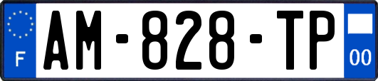 AM-828-TP