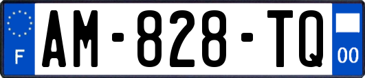 AM-828-TQ
