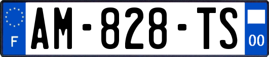 AM-828-TS