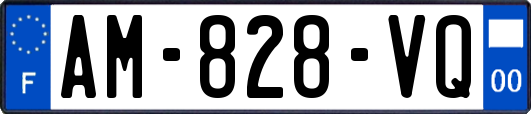 AM-828-VQ