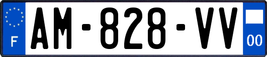 AM-828-VV