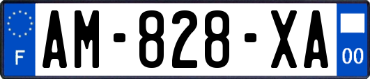 AM-828-XA