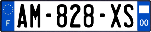 AM-828-XS