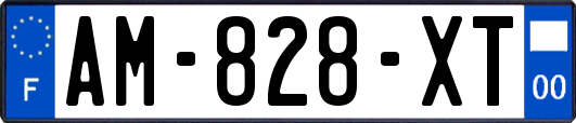 AM-828-XT