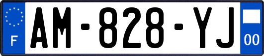 AM-828-YJ