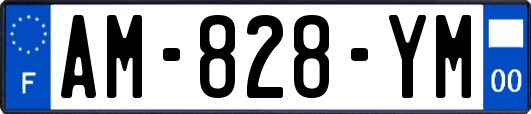 AM-828-YM
