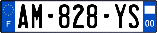 AM-828-YS