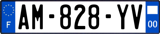 AM-828-YV