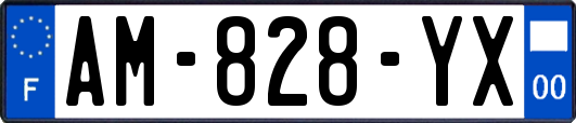 AM-828-YX