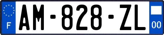 AM-828-ZL