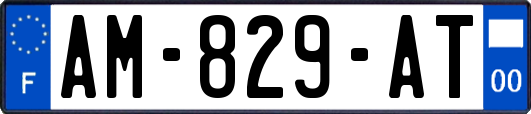 AM-829-AT