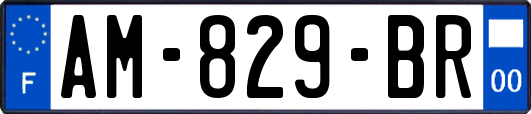 AM-829-BR