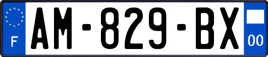 AM-829-BX