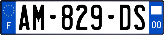 AM-829-DS