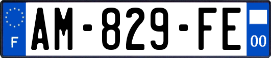AM-829-FE