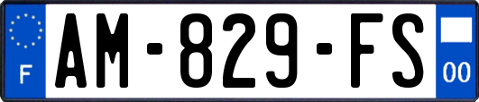 AM-829-FS