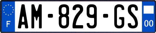 AM-829-GS