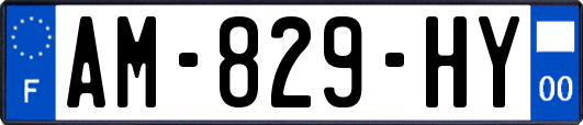 AM-829-HY