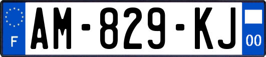 AM-829-KJ