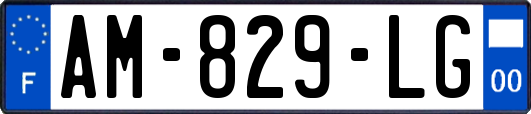 AM-829-LG