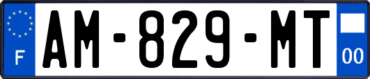 AM-829-MT