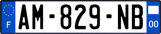 AM-829-NB