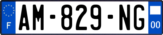 AM-829-NG
