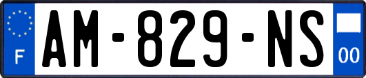 AM-829-NS