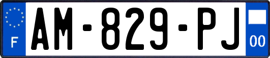AM-829-PJ