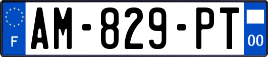 AM-829-PT