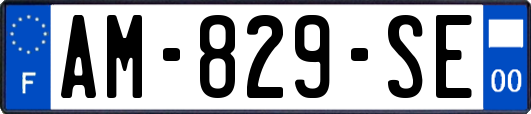 AM-829-SE