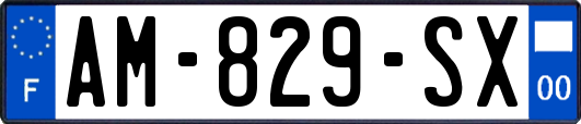 AM-829-SX