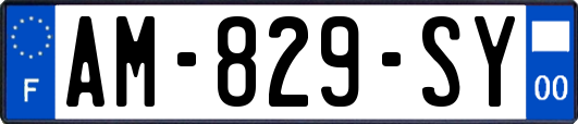 AM-829-SY