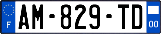AM-829-TD